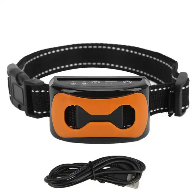 e-collar dog training