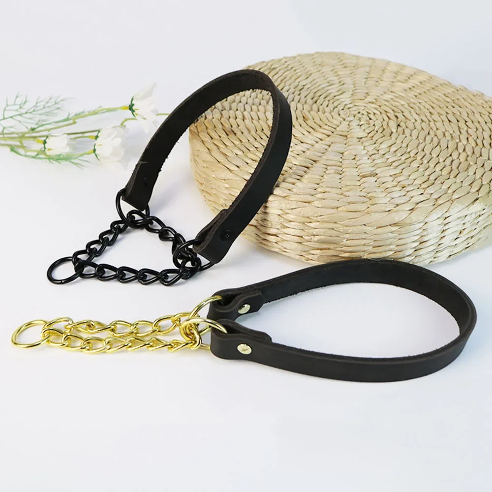 Essentials of What Is a Martingale Dog Collar缩略图