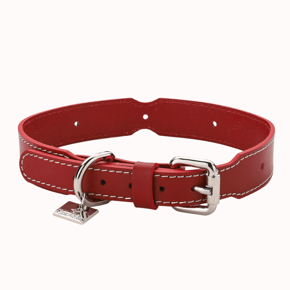 dog collar png