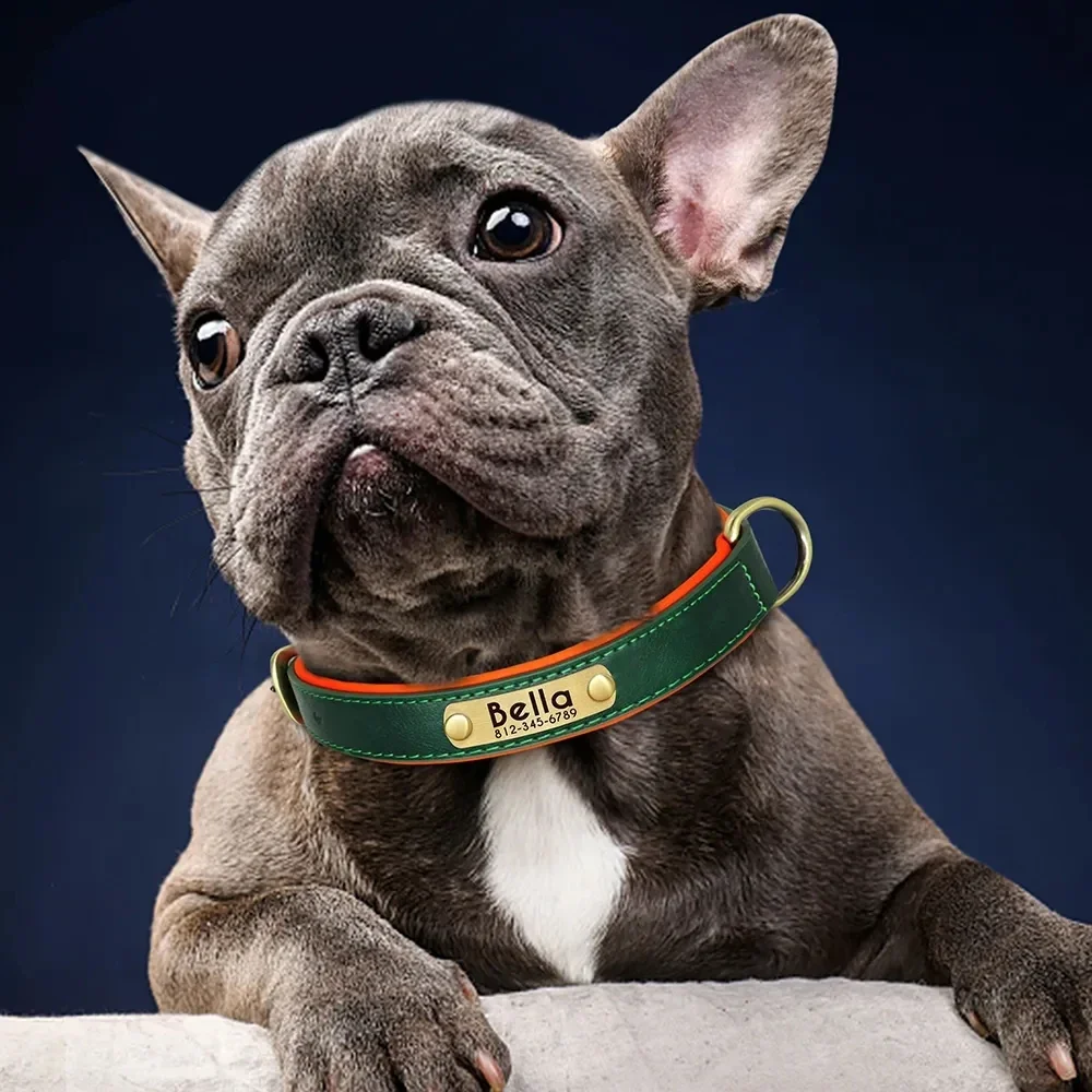 how to measure dog collar