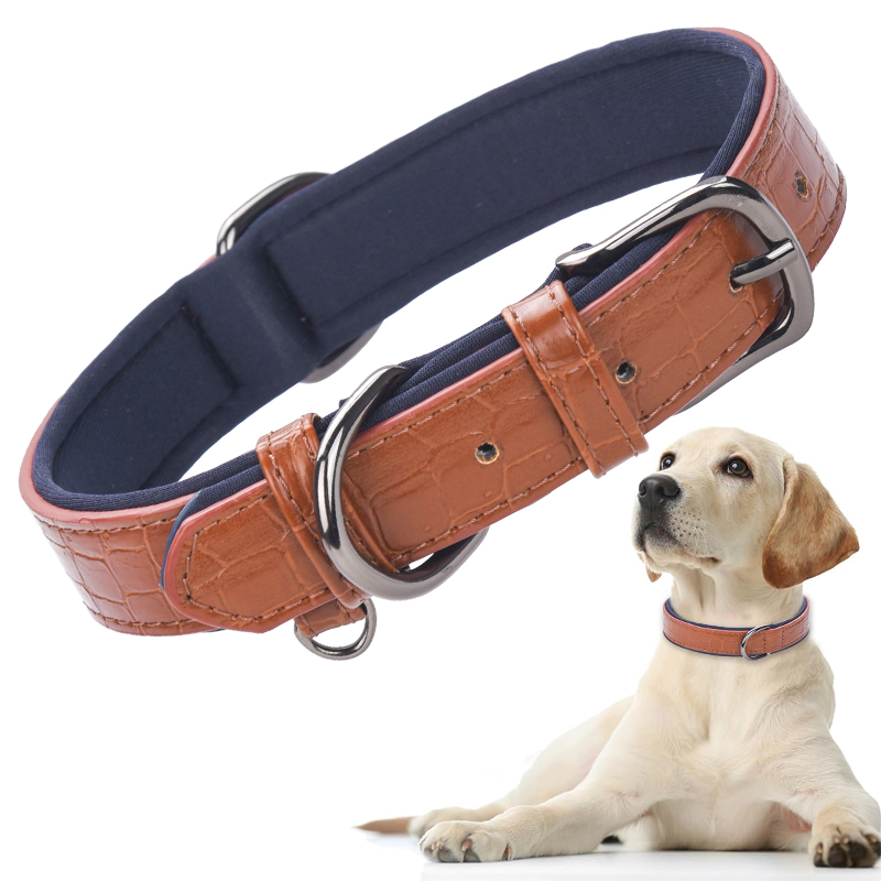 what to do with dog collar after death