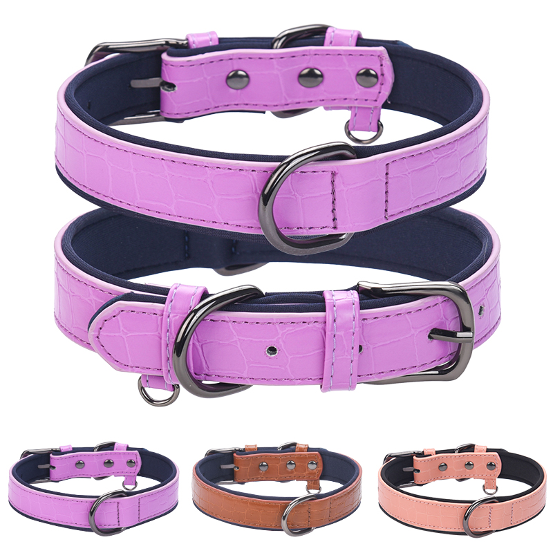 what to do with dog collar after death