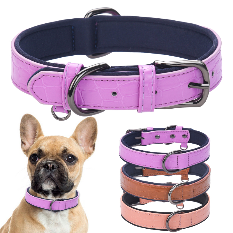 what to do with dog collar after death