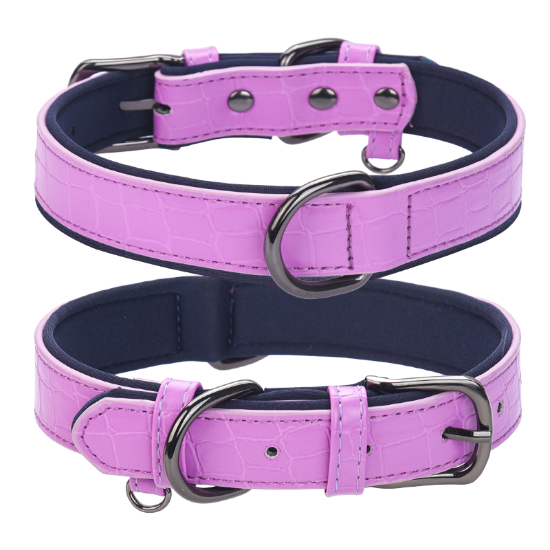 Guide to What To Do With Dog Collar After Death缩略图