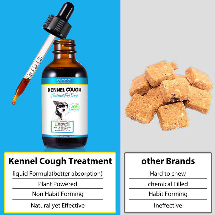 over the counter kennel cough medicine