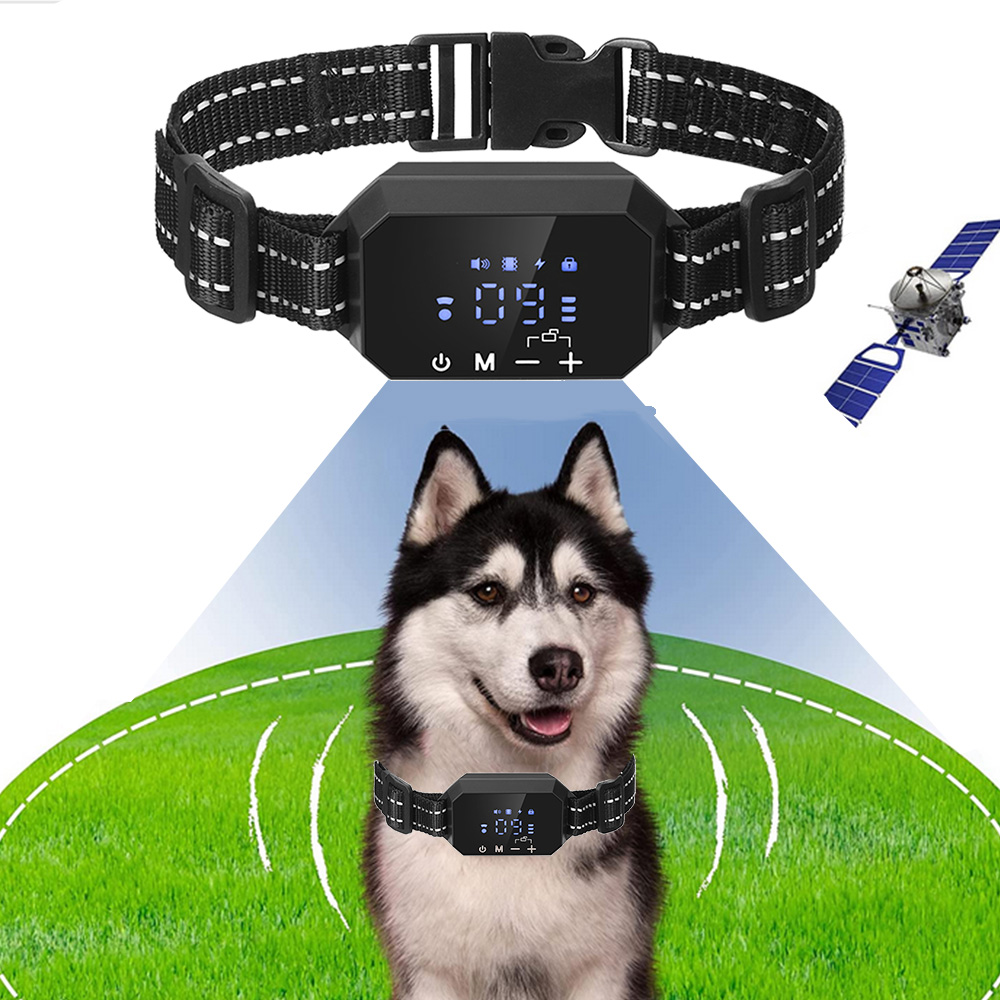 how to train dog with e collar