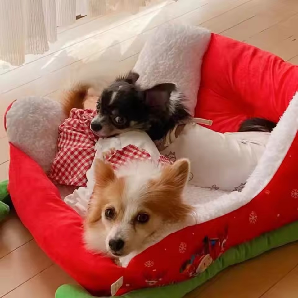 pet bed