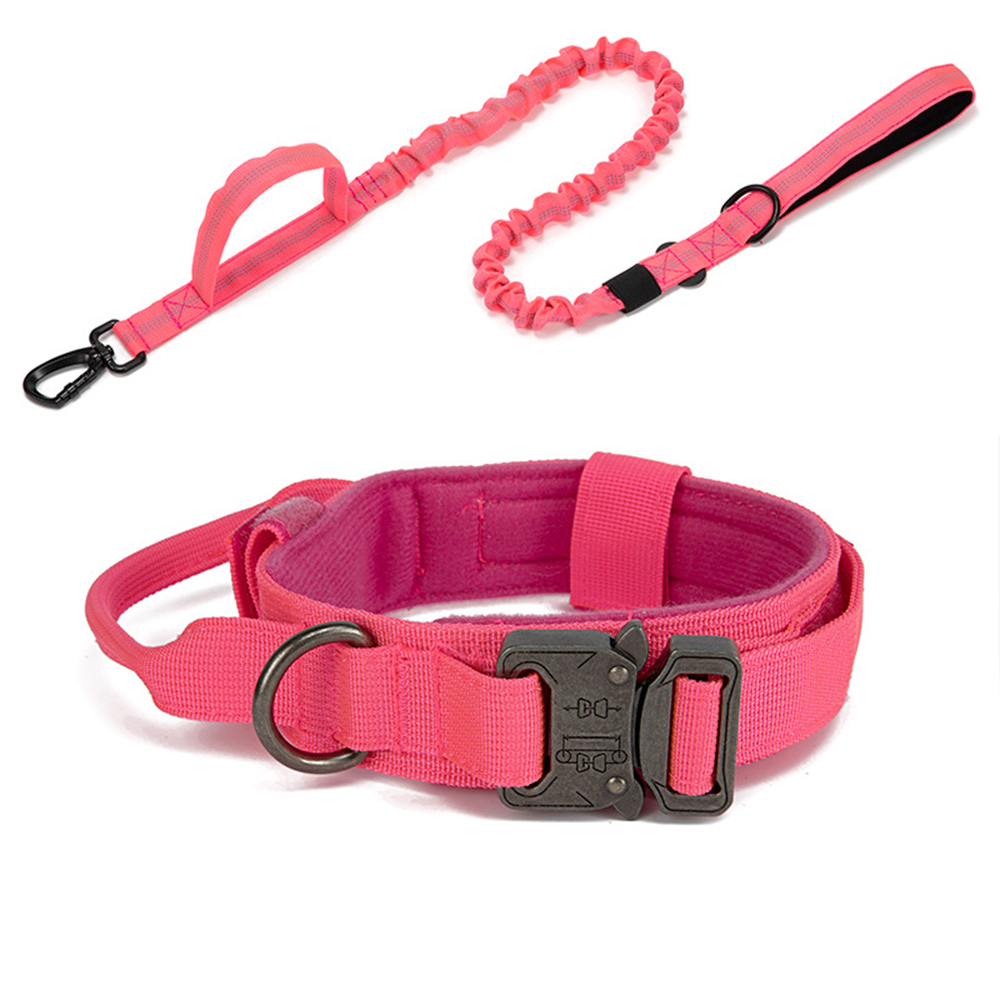 dog collar match