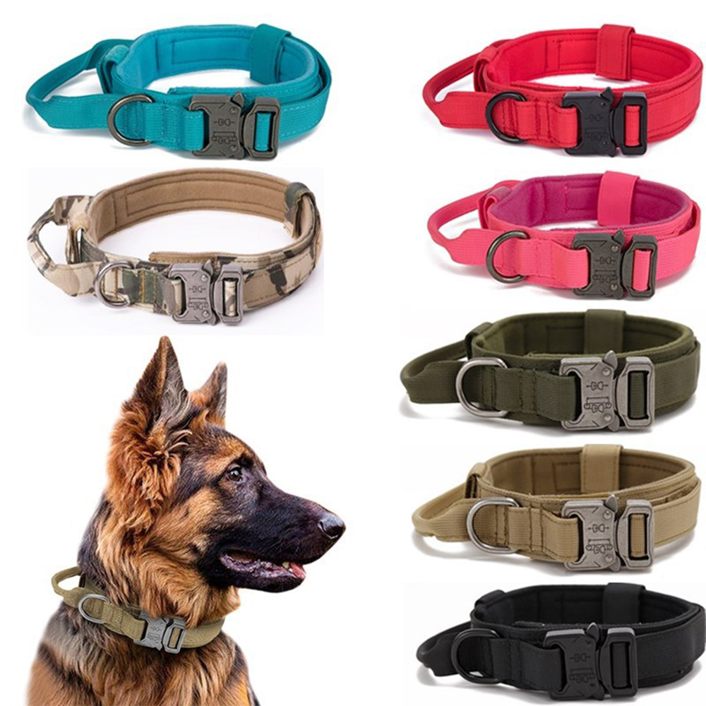 Choosing the Perfect Dog Collar Match: Style and Functionality缩略图