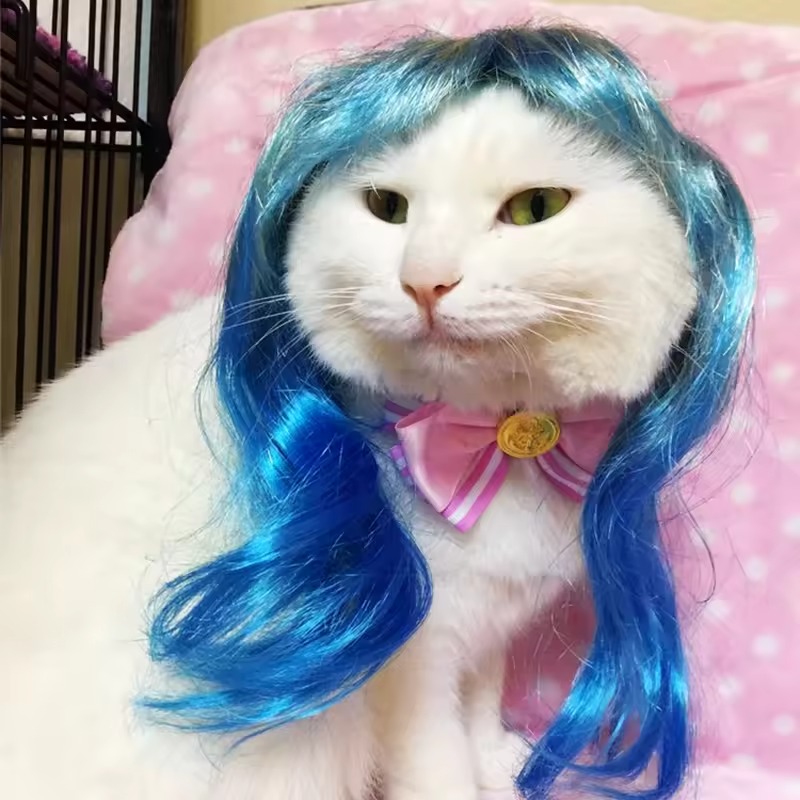 Cat wig