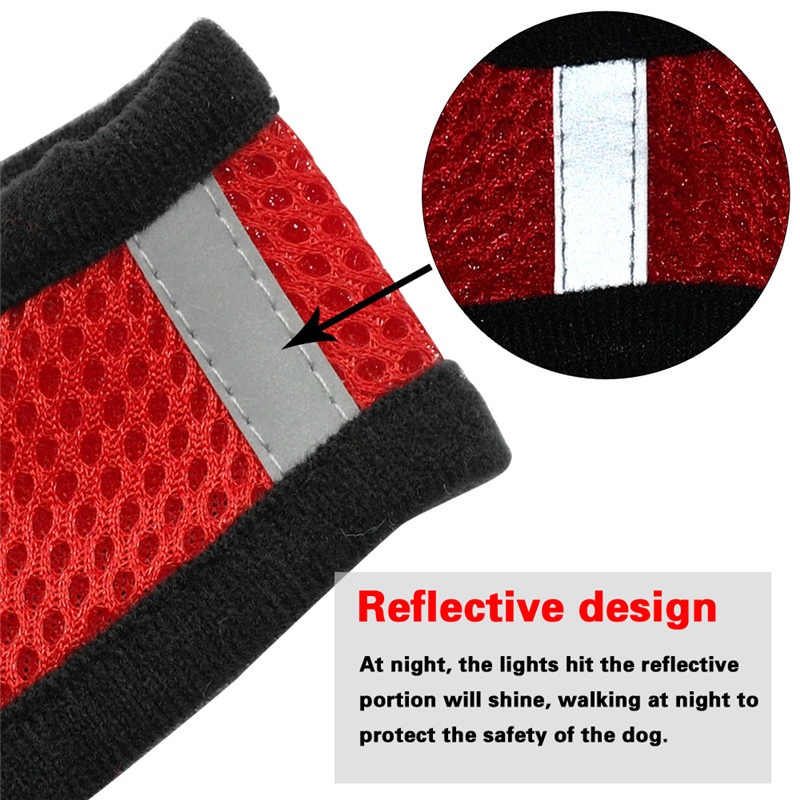 dog harness and leash set