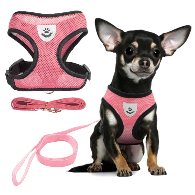 dog harness and leash set