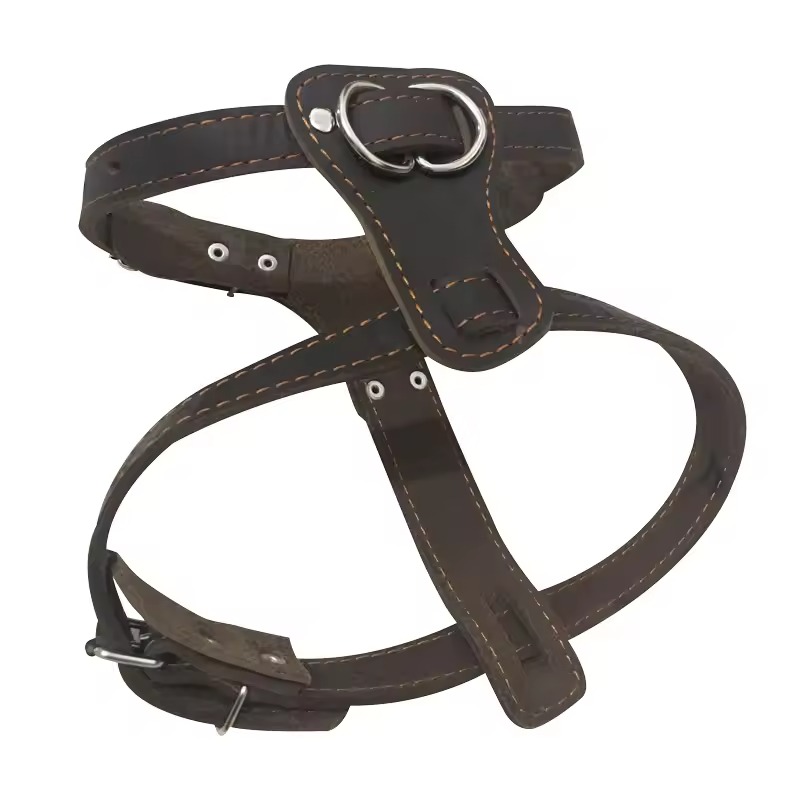 leather dog harness