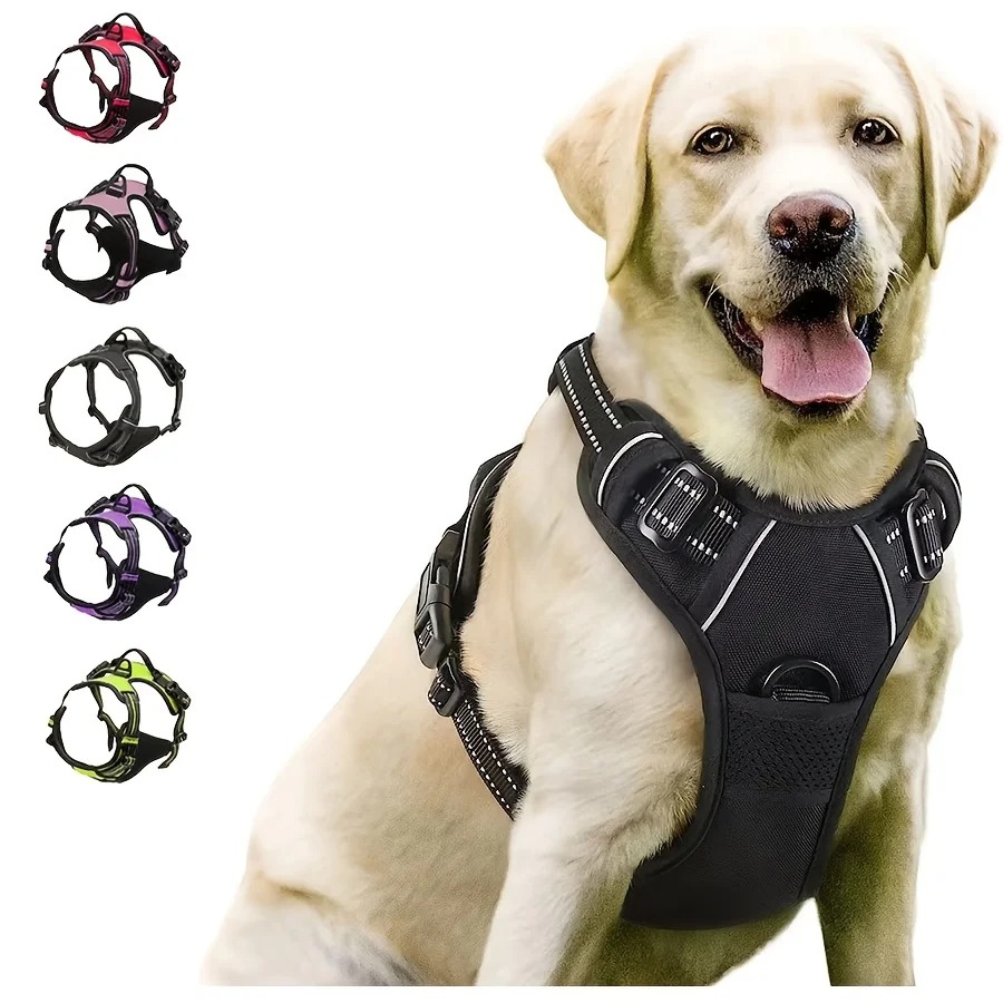 large dog harness