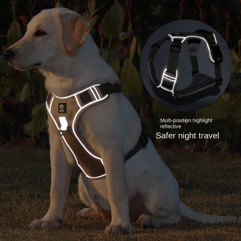 easy walk dog harness