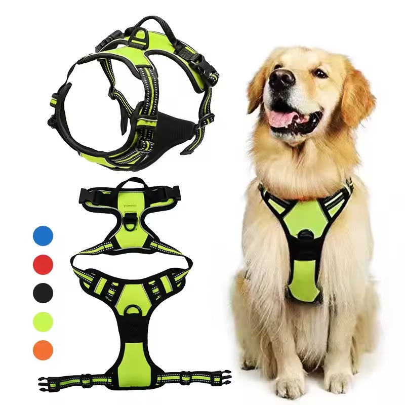 front clip dog harness