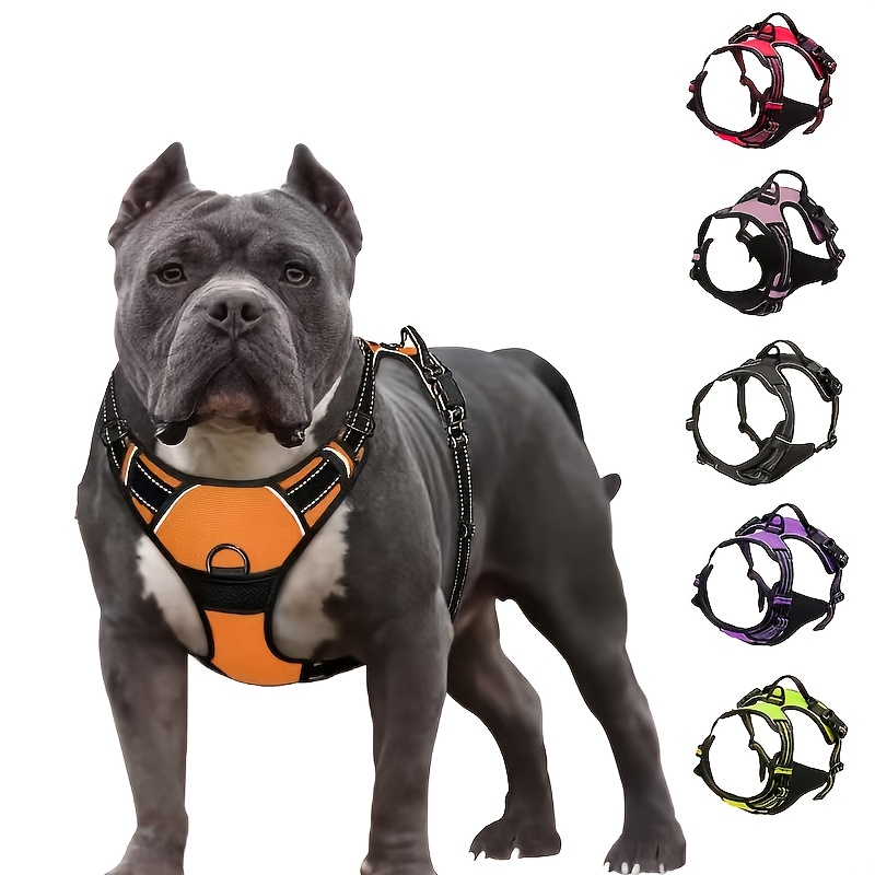 front clip dog harness