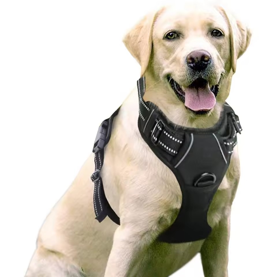 best dog harness for large dogs