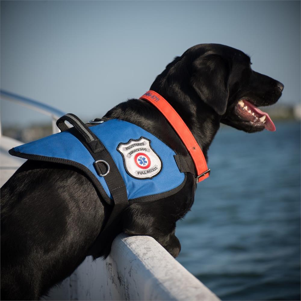 service dog harness