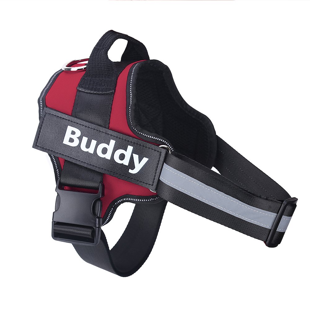 personalized dog harness