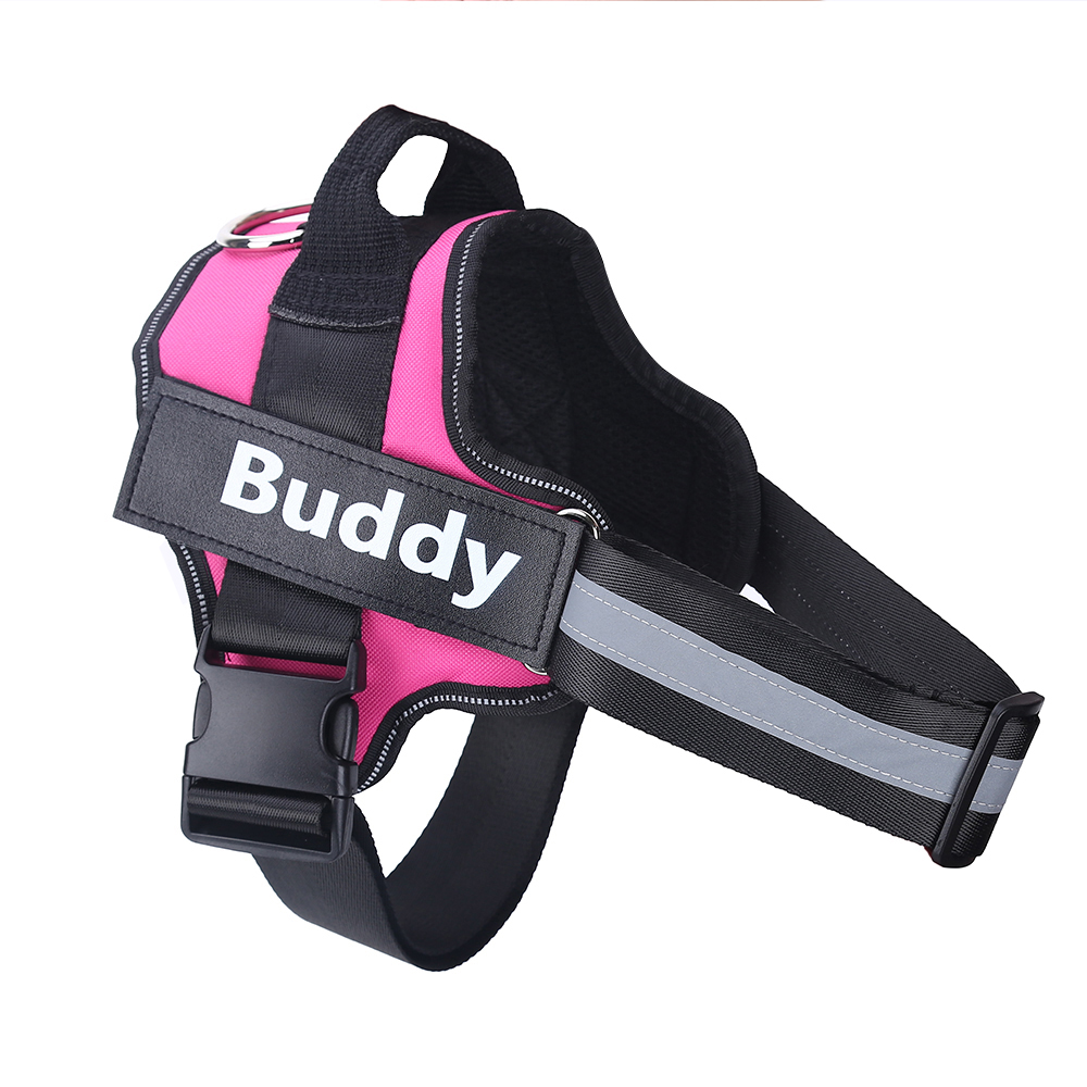 personalized dog harness