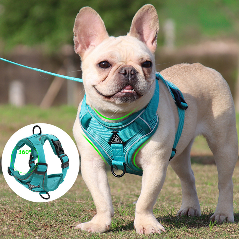 how to measure a dog for a harness