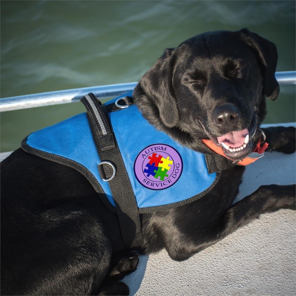 service dog harness