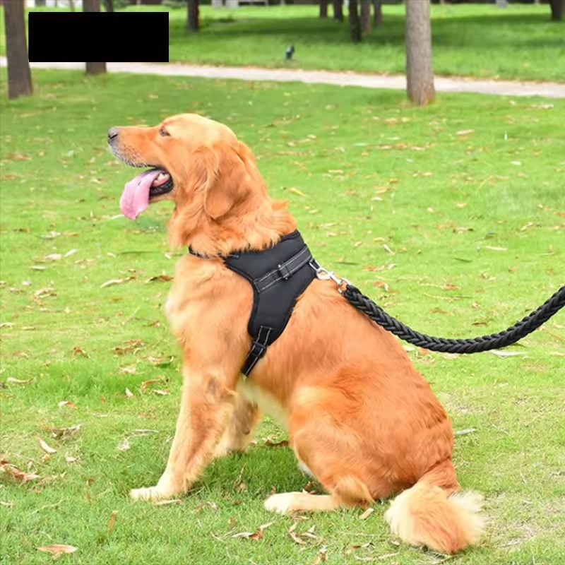 dog harness for large dogs