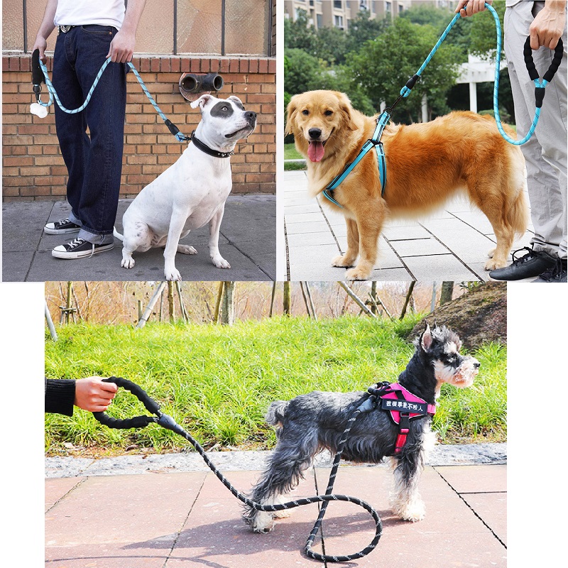 dog harness for large dogs