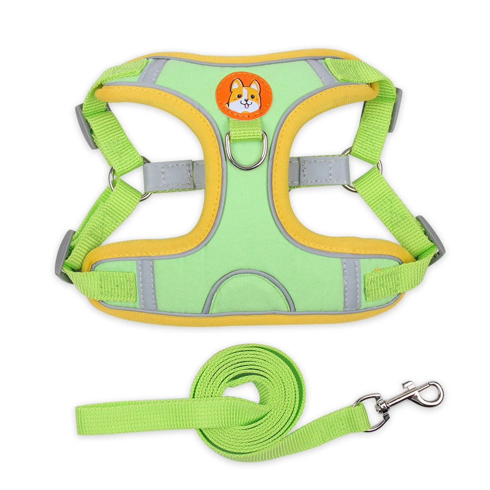 best dog harness for small dogs