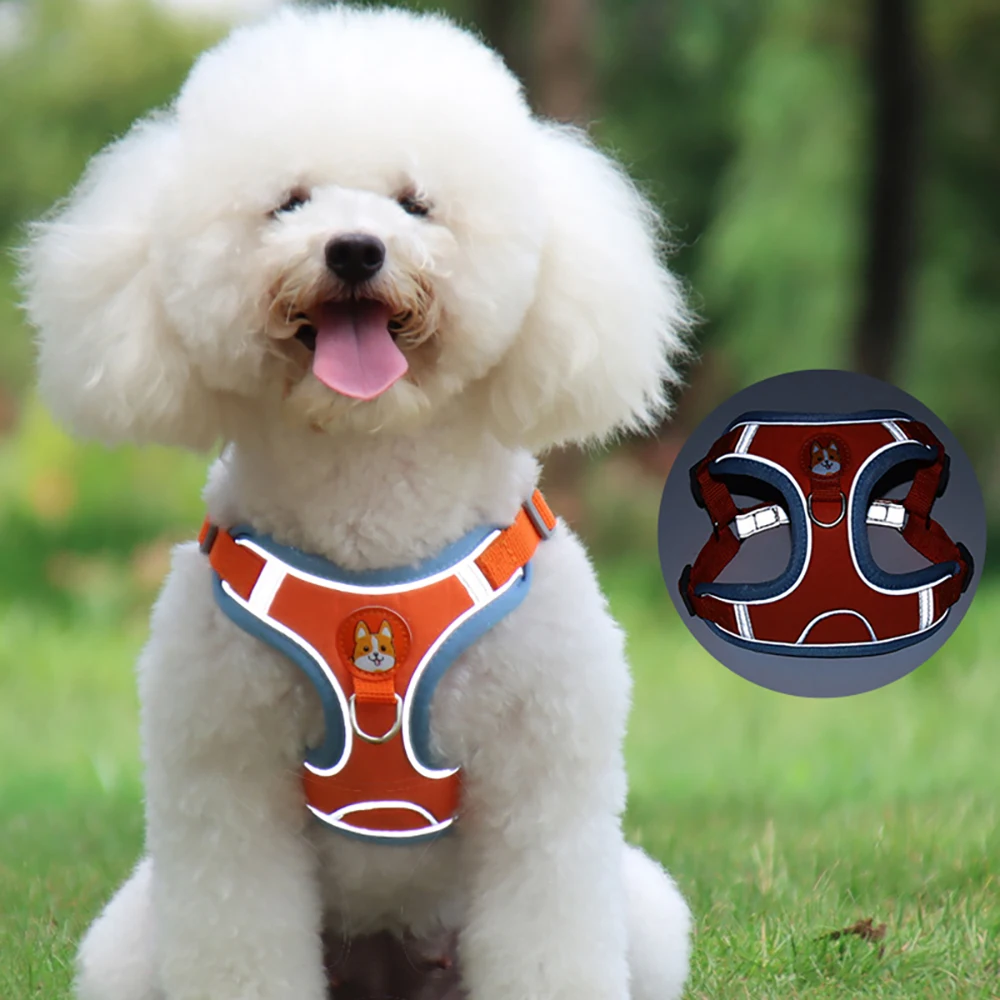 best dog harness for small dogs