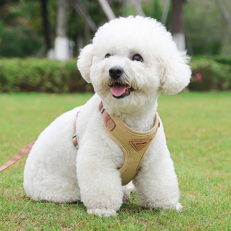 dog running harness