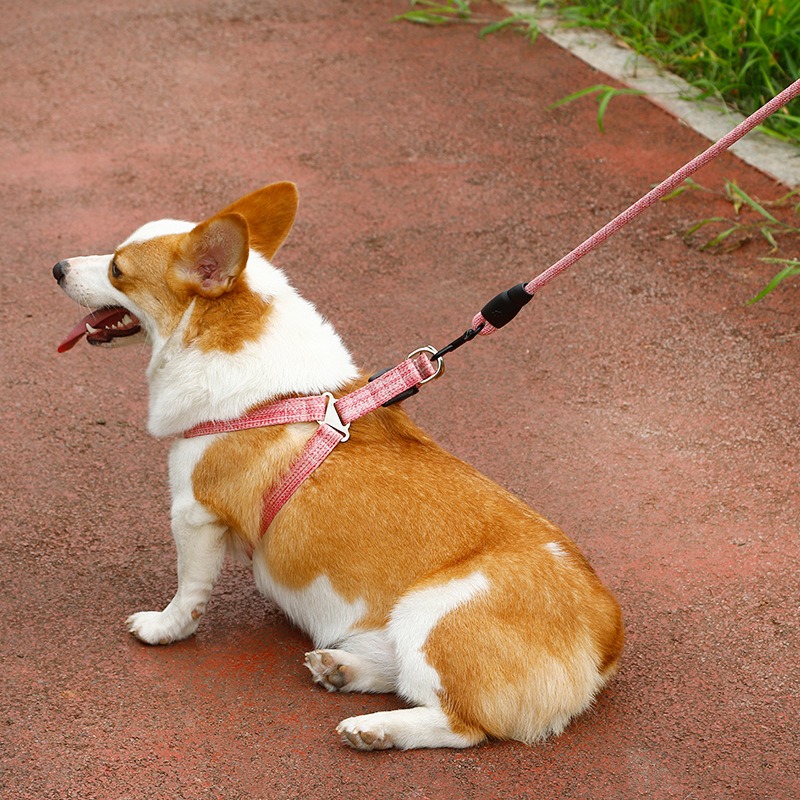 pink dog harness