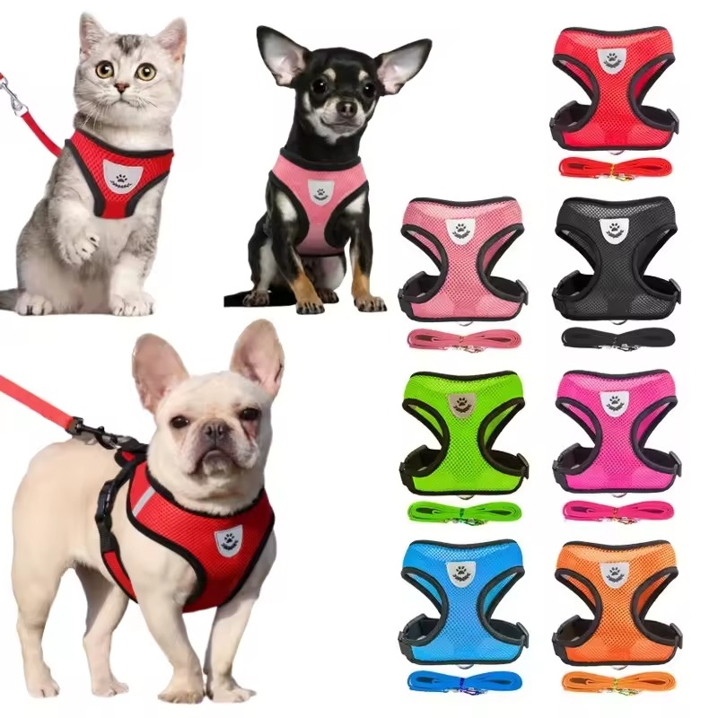 dog harness for small dogs