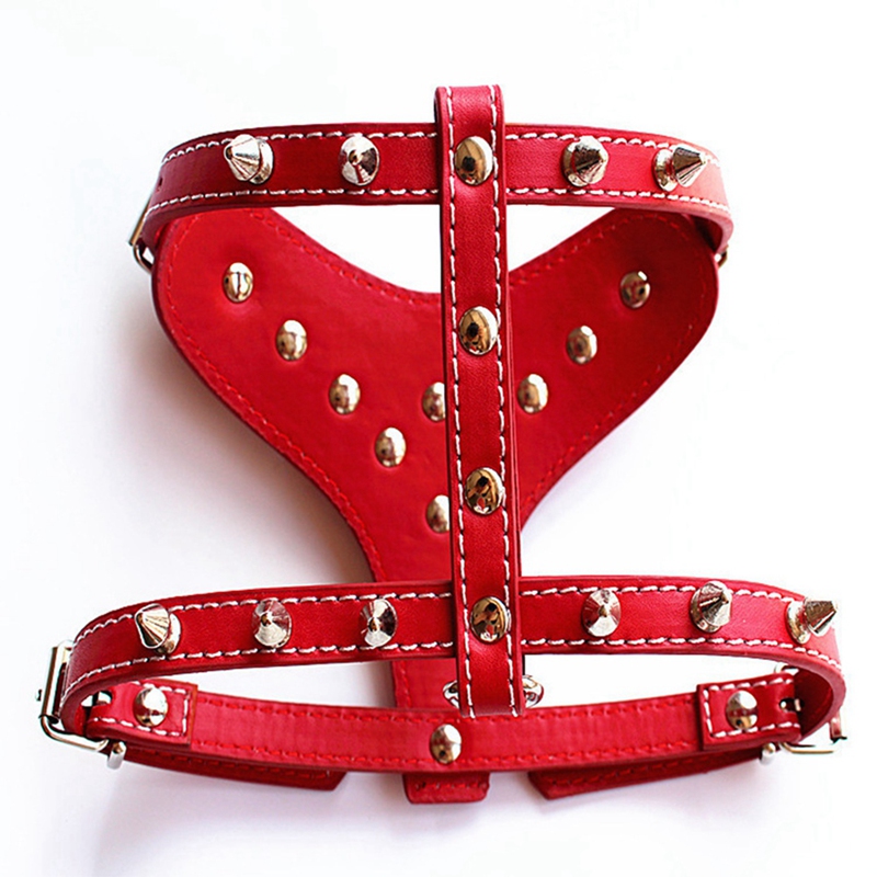 chew proof dog harness