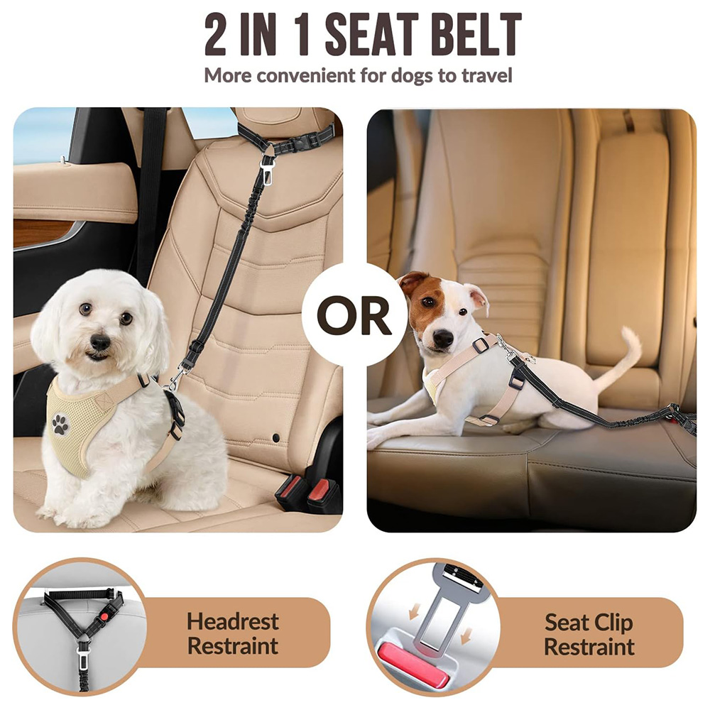 best dog car harness