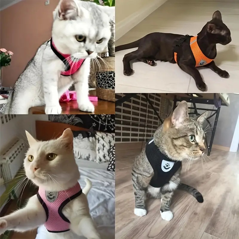 dog harness for small dogs