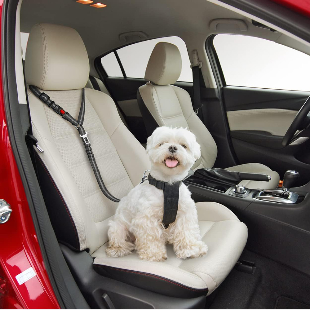 dog car harness