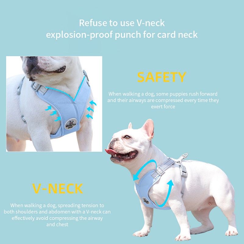 most comfortable dog harness