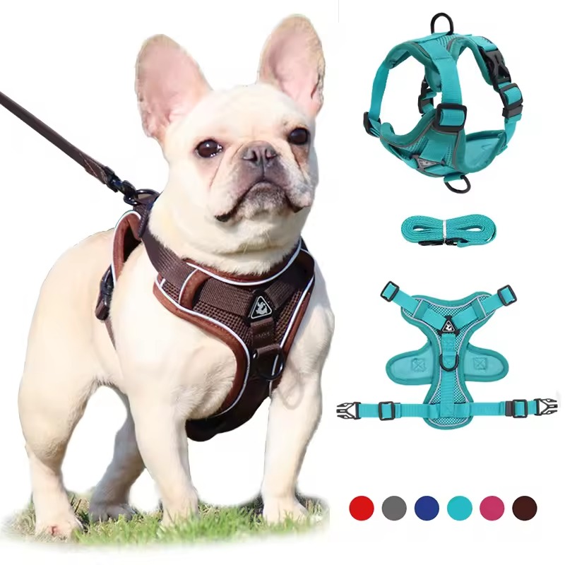 dog lift harness