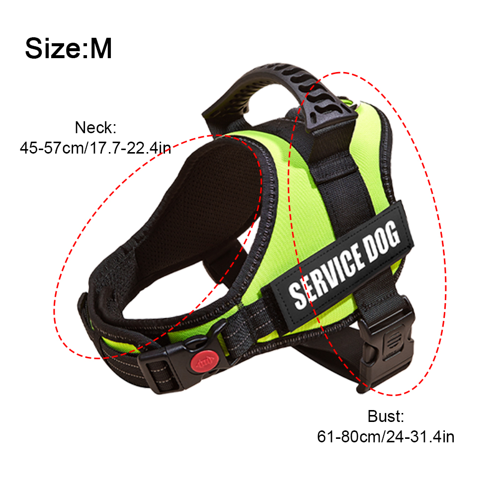 xxs dog harness