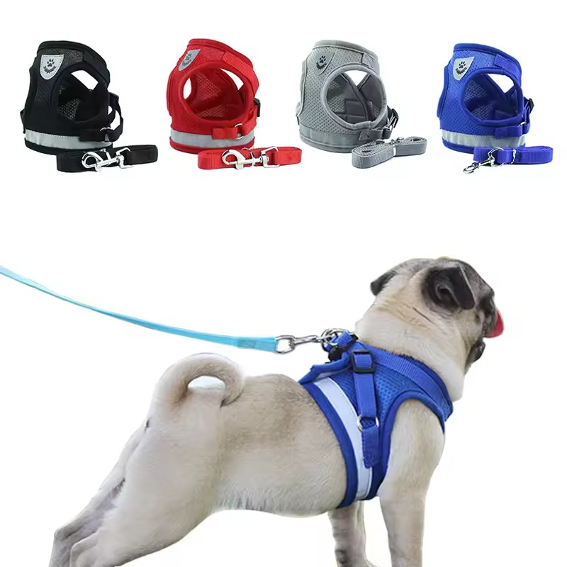 dog hiking harness