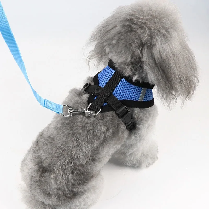 how to put on a dog harness