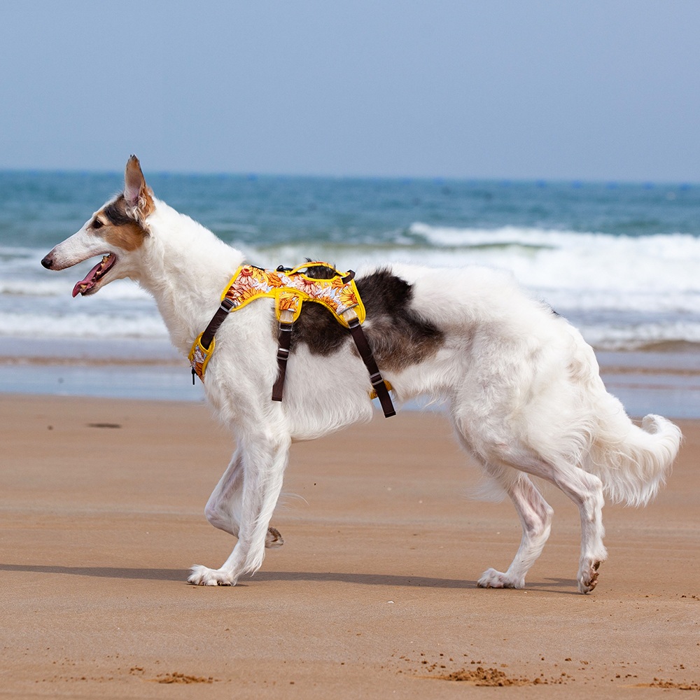 full body dog harness