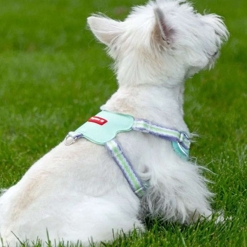 dog pulling harness