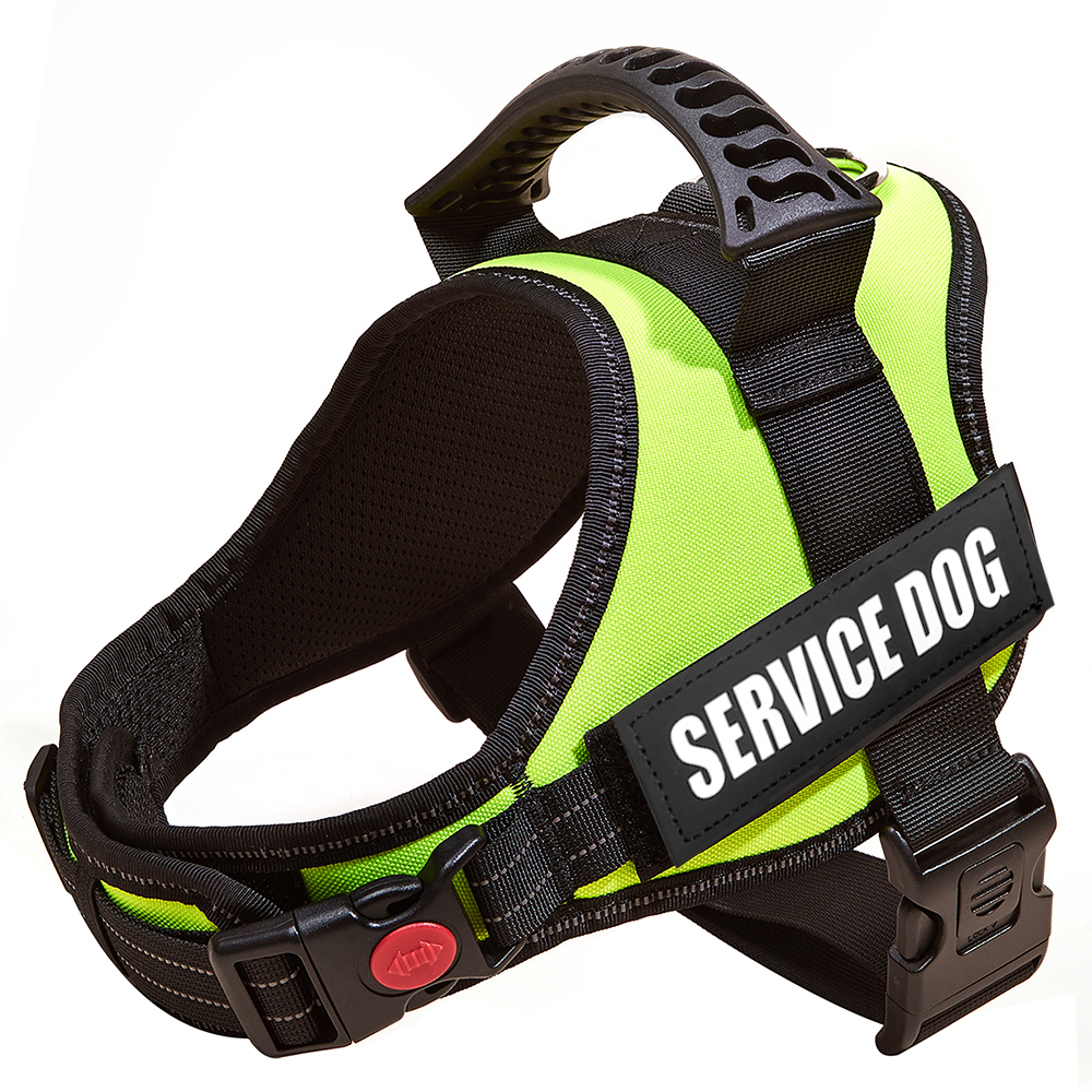 xxs dog harness