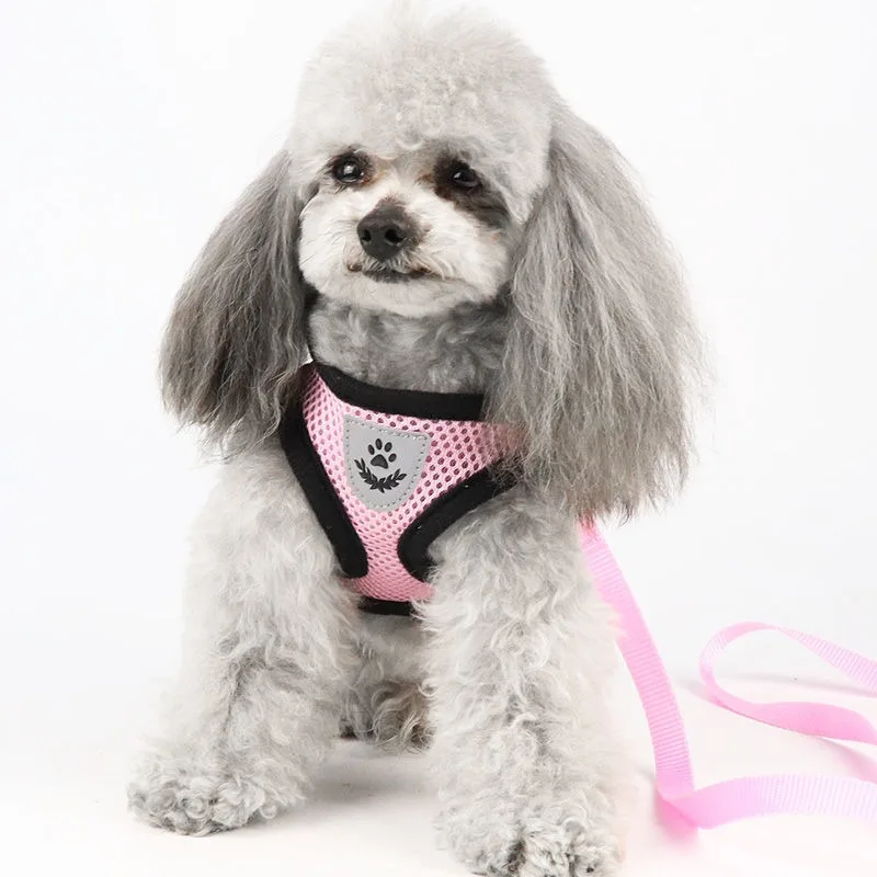 how to put on a dog harness