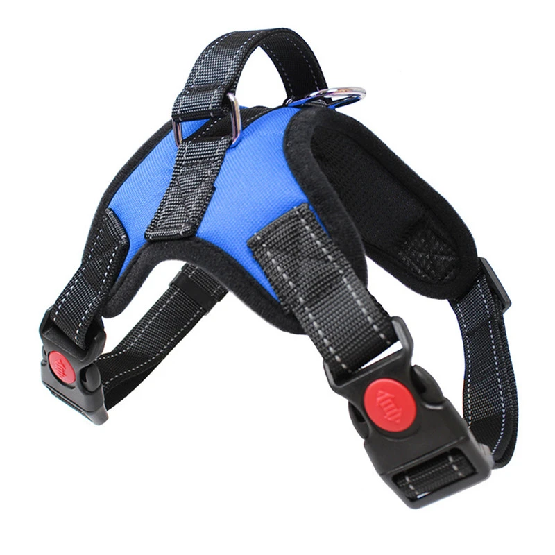 sled dog harness