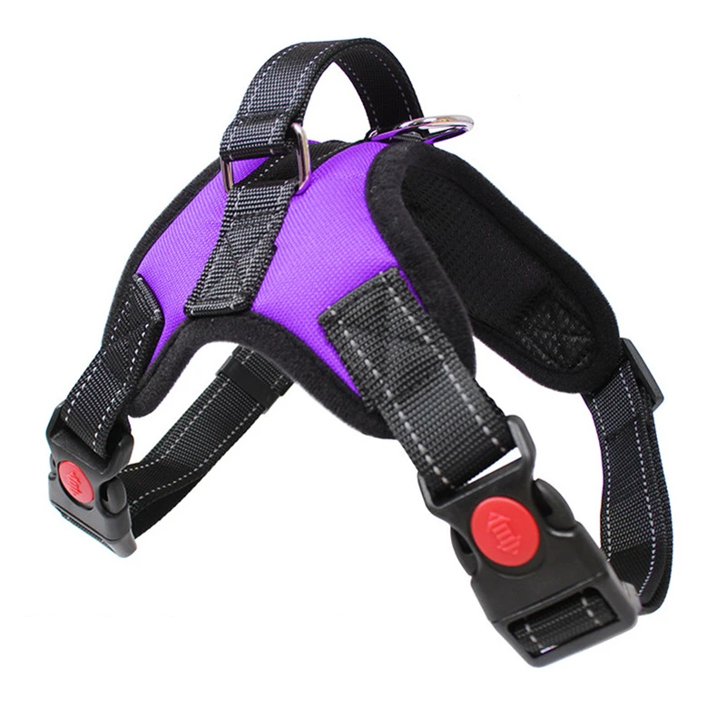 sled dog harness