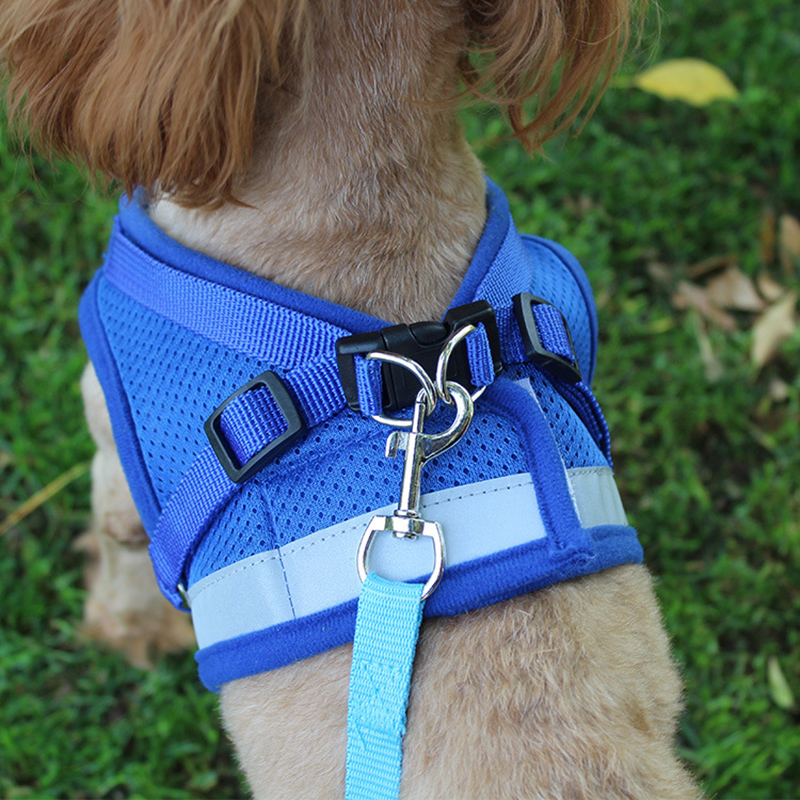 dog hiking harness